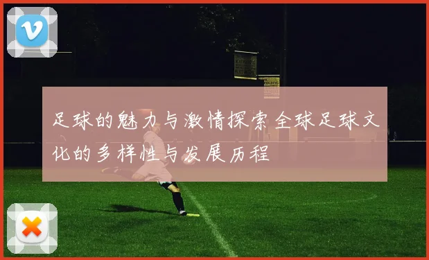 足球的魅力与激情探索全球足球文化的多样性与发展历程