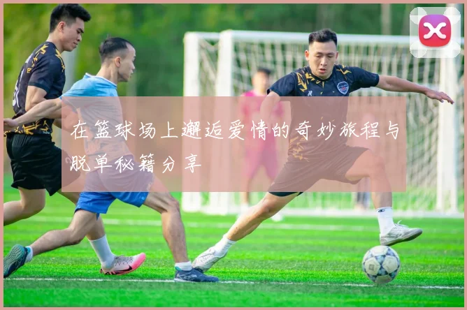 在篮球场上邂逅爱情的奇妙旅程与脱单秘籍分享