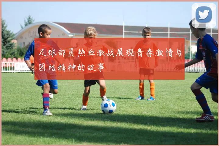 足球部员热血激战展现青春激情与团结精神的故事
