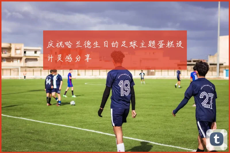 庆祝哈兰德生日的足球主题蛋糕设计灵感分享