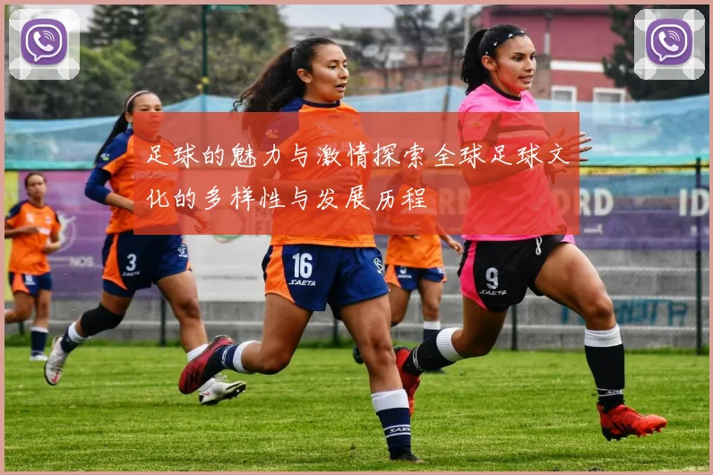 足球的魅力与激情探索全球足球文化的多样性与发展历程